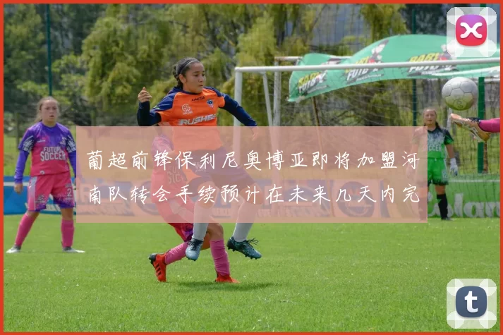葡超前锋保利尼奥博亚即将加盟河南队转会手续预计在未来几天内完成