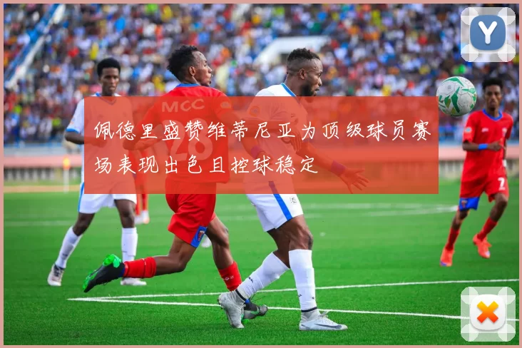 佩德里盛赞维蒂尼亚为顶级球员赛场表现出色且控球稳定